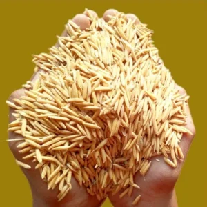 2 kg বাশমতি বীজ ধান