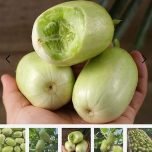 এক পেকেট কিনলে এক পেকেট ফ্রী