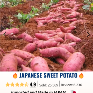 buy 1 get 1 free japani alu seeds